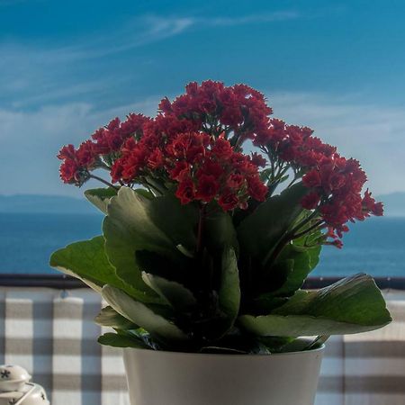 Apartment Paradise View Rijeka Dış mekan fotoğraf