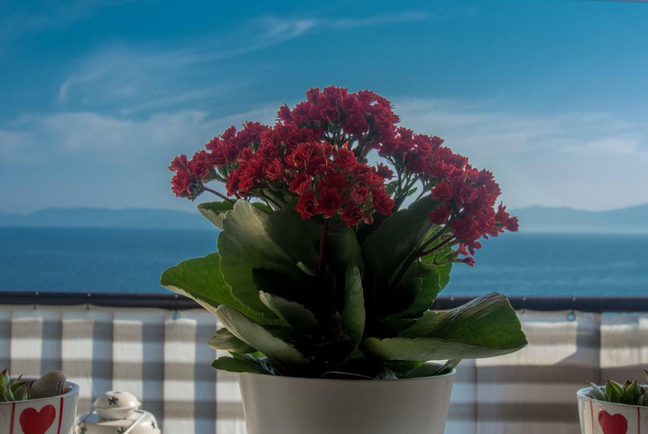 Apartment Paradise View Rijeka Dış mekan fotoğraf